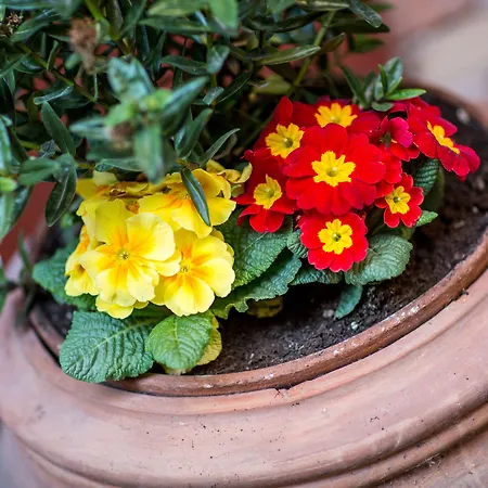 Centro Storico Gasthof 3*